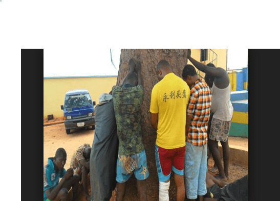 3 Secondary School Boys Arrested Over Cultism